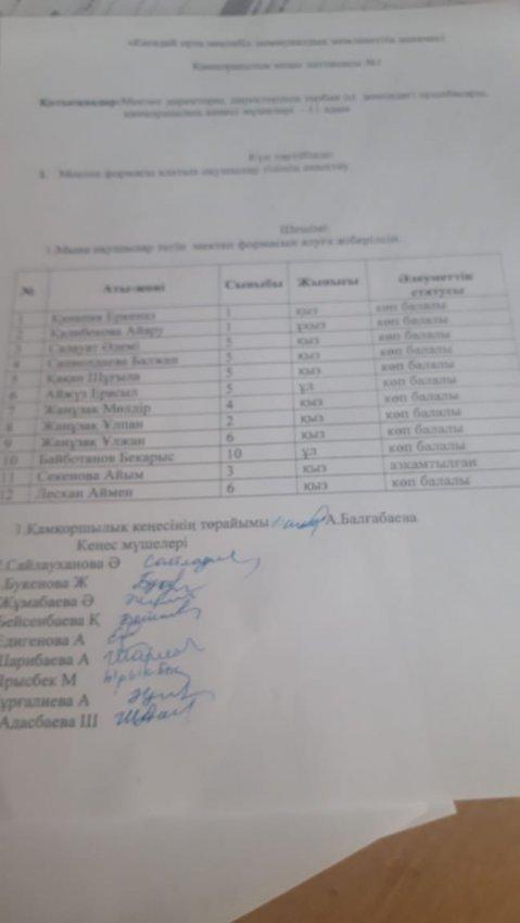 Қамқоршылық кеңес хаттамасы