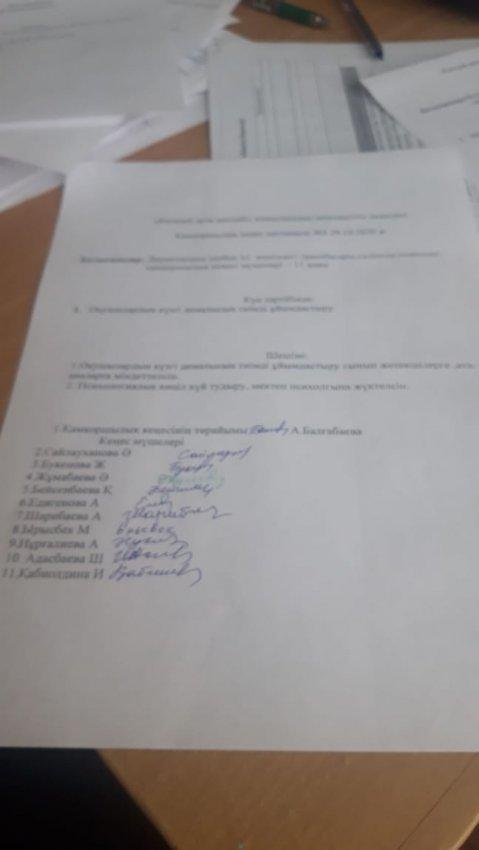 Қамқоршылық кеңес хаттамасы